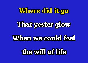 Where did it go

That yester glow

When we could feel

the will of life
