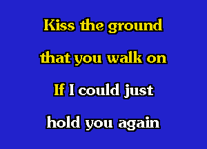 Kiss the ground
that you walk on

If I could just

hold you again