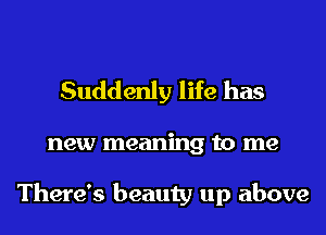 Suddenly life has

new meaning to me

There's beauty up above