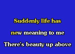 Suddenly life has

new meaning to me

There's beauty up above