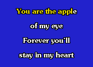 You are the apple
of my eye

Forever you'll

stay in my heart