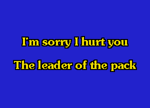 Fm sorry I hurt you

The leader of the pack