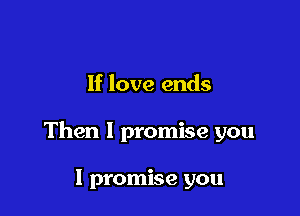 If love ends

Then I promise you

I promise you