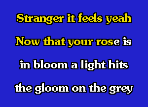 Stranger it feels yeah
Now that your rose is
in bloom a light hits

the gloom on the grey