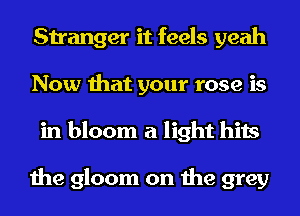 Stranger it feels yeah
Now that your rose is
in bloom a light hits

the gloom on the grey