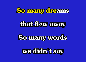 So many dreams

that flew away

So many words

we didn't say