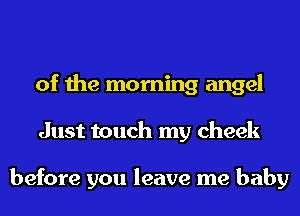 of the morning angel
Just touch my cheek

before you leave me baby