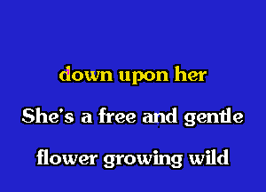 down upon her

She's a free and gentie

flower growing wild