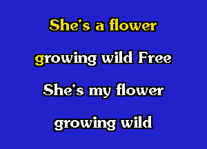 She's a flower
growing wild Free

She's my flower

growing wild