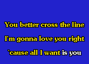 You better cross the line
I'm gonna love you right

bause all I want is you