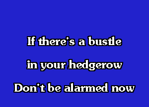 If there's a busde

in your hedgerow

Don't be alarmed now