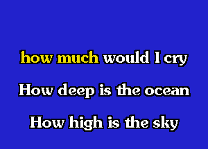 how much would I cry
How deep is the ocean

How high is the sky