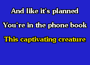 And like it's planned
You're in the phone book

This captivating creature