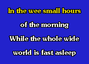 In the wee small hours

of the morning
While the whole wide

world is fast asleep