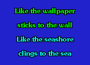 Like the wallpaper
sticks to the wall

Like the seashore

clings to the sea I