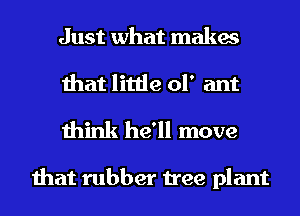Just what makes
that little of ant
think he'll move

that rubber tree plant