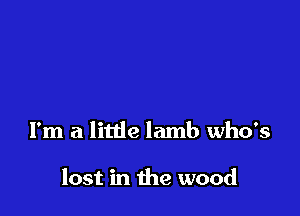 I'm a little lamb who's

lost in the wood