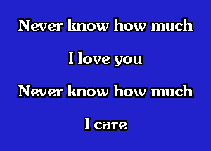 Never know how much
I love you
Never know how much

I care