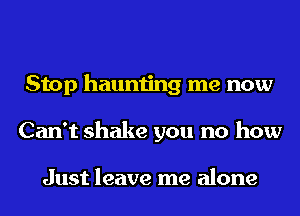 Stop haunting me now
Can't shake you no how

Just leave me alone