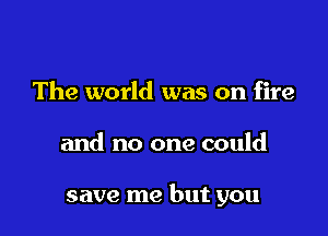 The world was on fire

and no one could

save me but you