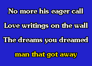 No more his eager call
Love writings on the wall
The dreams you dreamed

man that got away