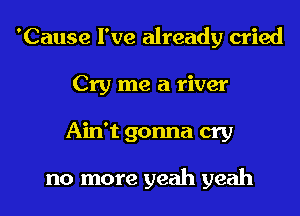 'Cause I've already cried
Cry me a river
Ain't gonna cry

no more yeah yeah