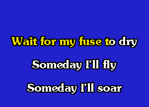 Wait for my fuse to dry

Someday I'll fly

Someday I'll soar