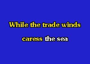 While the trade winds

caress the sea