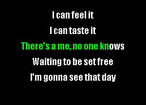 I can feel it
I can taste it
There's a me, no one knows

Waitingto he setfree
I'm gonna seethatdau