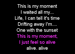 This is my moment
I waited all my...
Life, I can tell it's time
Drifting away I'm....

One with the sunset
This is my moment,
I just feel so alive
alive. alive