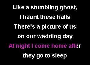 Like a stumbling ghost,

I haunt these halls
There's a picture of us
on our wedding day
At night I come home after
they go to sleep