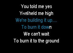 You told me yes
Yiwyalheld me high
We're building it up....

To burn it down
We can't wait
To burn it to the ground