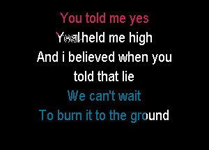 You told me yes
Yiwyalheld me high
And i believed when you

told that lie
We can't wait
To burn it to the ground