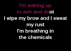 I'm waking up
to ash and dust
I wipe my brow and I sweat
my rust

I'm breathing in
the chemicals