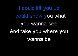 I could lift you up
I could show you what
you wanna see

And take you where you
wanna be