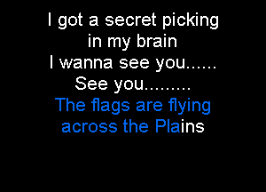 I got a secret picking
in my brain
I wanna see you ......
See you .........

The flags are f1ying
across the Plains