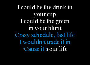 I could be the drink in
youreup
I could be the green
in your blunt
Crazy schedule, fast life
Iwouldn't trade it in
'Cause it's our life