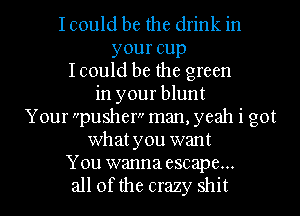 I could be the drink in
your cup
I could be the green
in your blunt
Your pusher man, yeah i got
whatyou want

You wanna escape...
all of the crazy shit