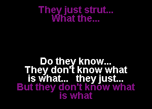 The just strut...
hat the...

Do the know...
They don know what
Is what... they Just...
But they gon't know what
Is what