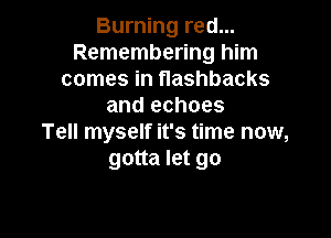 Burning red...
Remembering him
comes in flashbacks
and echoes

Tell myself it's time now,
gotta let go