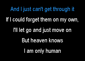 And ljust can't get through it

lfl could forget them on my own,
I'll let go and just move on
But heaven knows

I am only human