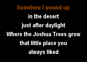Somehow I wound up
in the desert
just after daylight

Where the Joshua Trees grow
that little place you
always liked