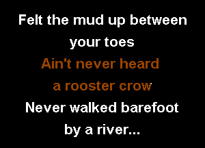 Felt the mud up between

your toes
Ain't never heard
a rooster crow
Never walked barefoot
by a river...