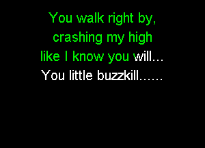 You walk right by,
crashing my high
like I know you will...

You little buzzkill ......