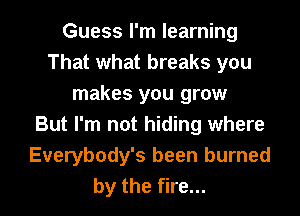 Guess I'm learning
That what breaks you
makes you grow
But I'm not hiding where
Everybody's been burned
by the fire...