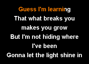 Guess I'm learning
That what breaks you
makes you grow
But I'm not hiding where
I've been
Gonna let the light shine in