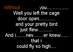 Without ............. you ...............
Well you left the cage
dooropen ...........
and your pretty bird
just flew ..........

And i ....... nev ....... er knew .....
that i
could fly so high....