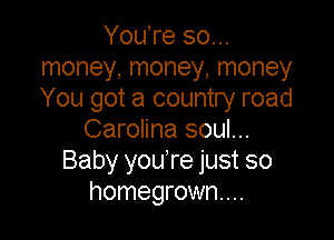 YouTe 80...
money, money, money
You got a country road

Carolina soul...
Baby you're just so
homegrown...