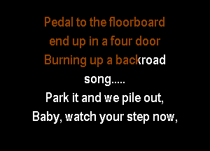 Pedal to the floorboard
end up in a four door
Burning up a backroad

song .....
Park it and we pile out,
Baby, watch your step now,