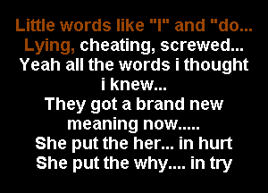 Little words like I and d0...
Lying, cheating, screwed...
Yeah all the words i thought
i knew...

They got a brand new
meaning now .....

She put the her... in hurt
She put the why.... in try